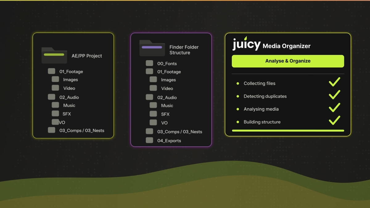 Media Organizer product workflow preview